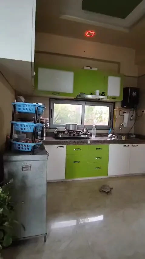 Sepal Elegant 4 - Photo 3