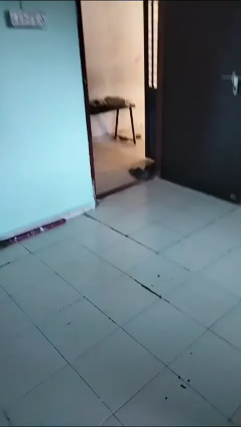 1 BHK Flat for Sale in Godavari Apartment, Chandkheda, Ahmedabad